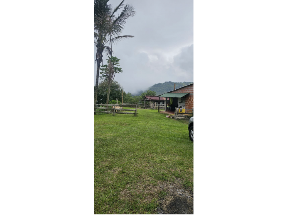 Cattle ranch in Filadelfia 93 cuadras $1,395 milliones - 1