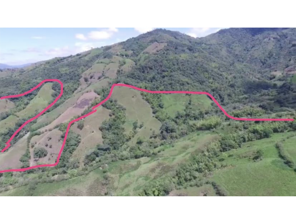 Magnificent 428 hectare Cattle Farm for Sale near Manizales