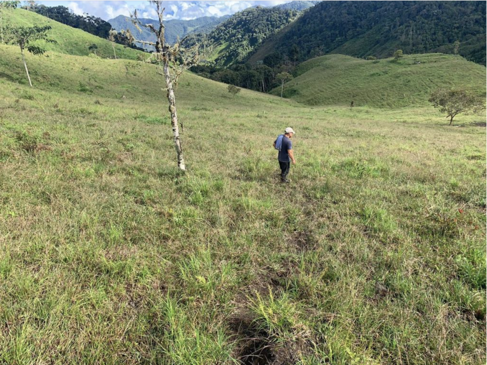400 cuadras 1 hour from Pereira - 1