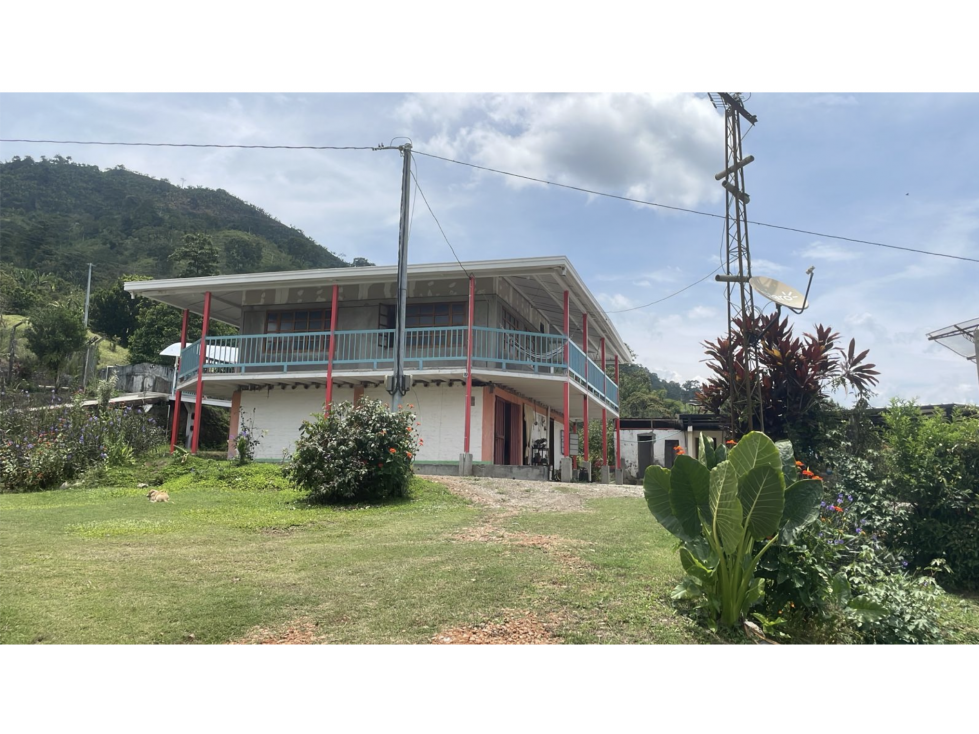 Mixed Use Farm near Manizales with Cacao ! Ask 325k