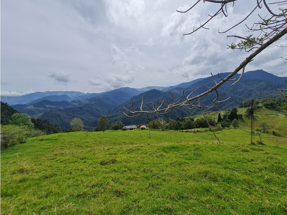 1.25 ha lote en venta Rio Blanco Reserva — foto 2