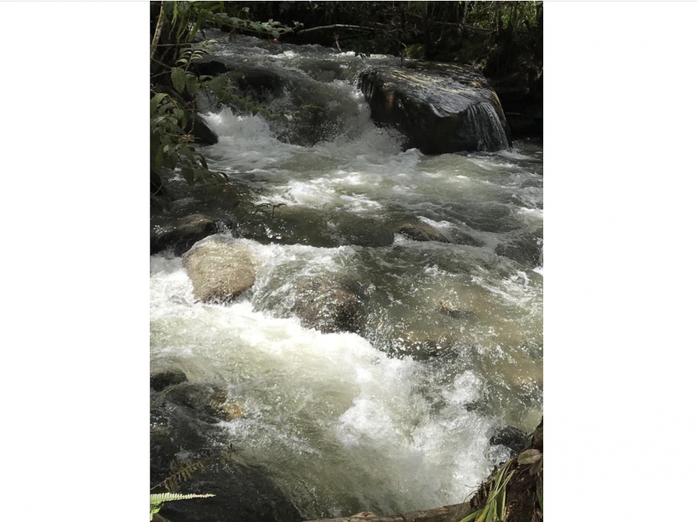 400 cuadras 1 hour from Pereira - 4