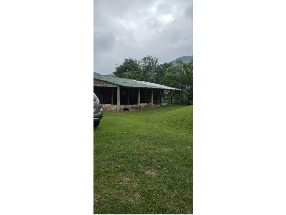 Cattle ranch in Filadelfia 93 cuadras $1,395 milliones - 2