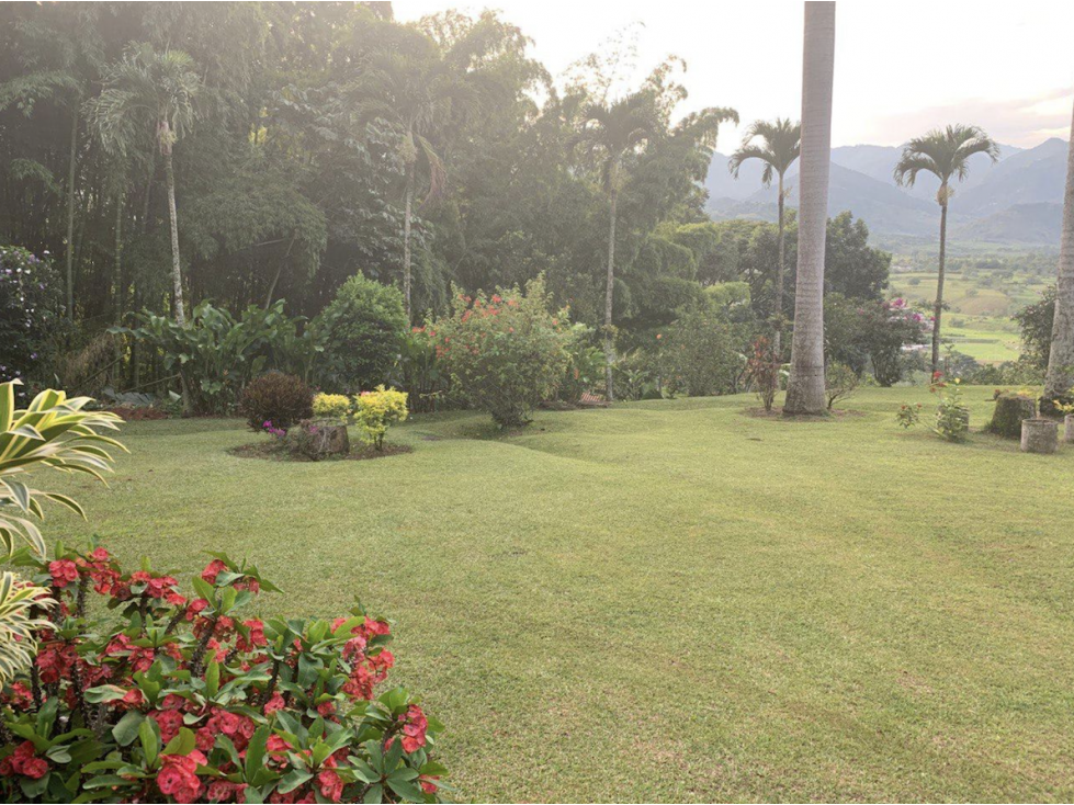 Gorgeous Finca 2.76 ha with 3 houses - 2