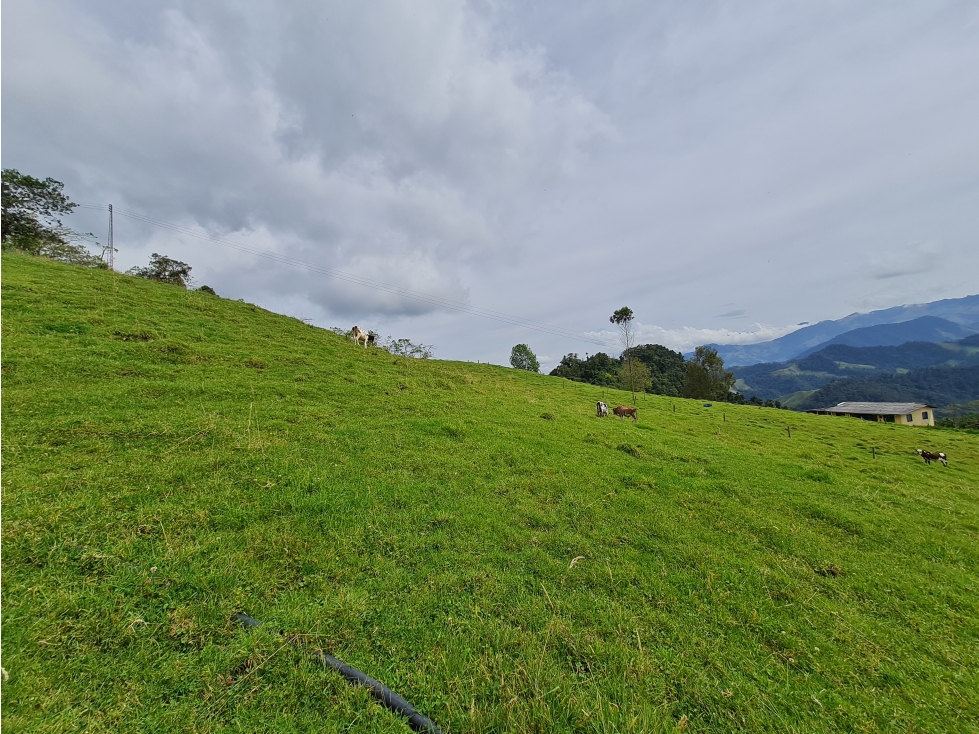 1.25 ha lote en venta Rio Blanco Reserva — foto 3