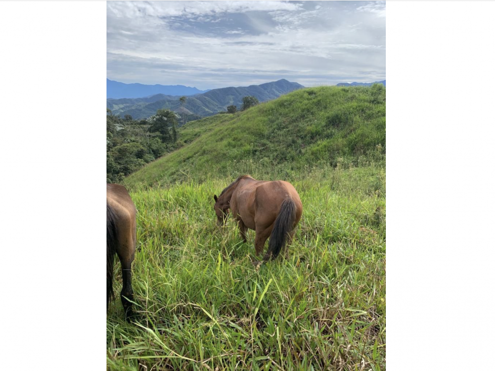 400 cuadras 1 hour from Pereira - 2