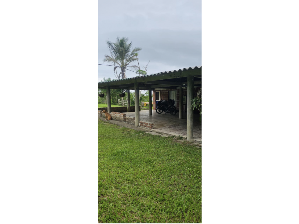 Cattle ranch in Filadelfia 93 cuadras $1,395 milliones - 3