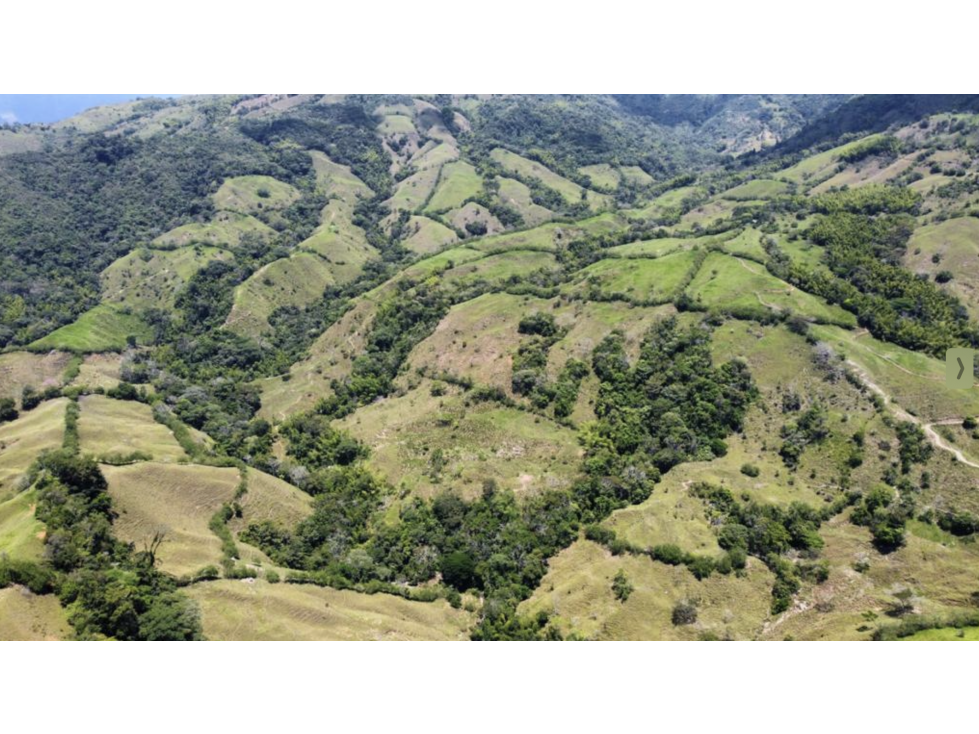 Magnificent 428 hectare Cattle Farm for Sale near Manizales — foto 3