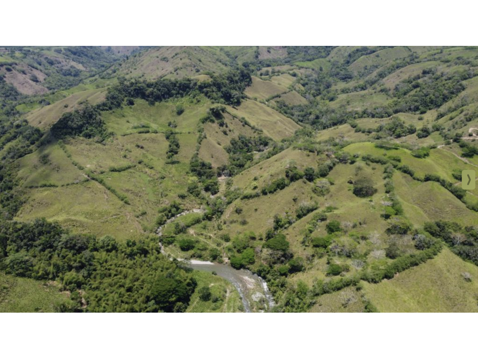 Magnificent 428 hectare Cattle Farm for Sale near Manizales — foto 4