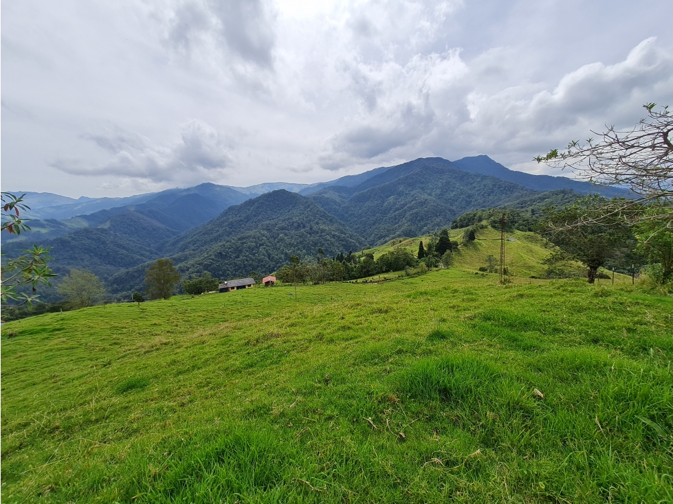 1.25 ha lote en venta Rio Blanco Reserva — foto 5