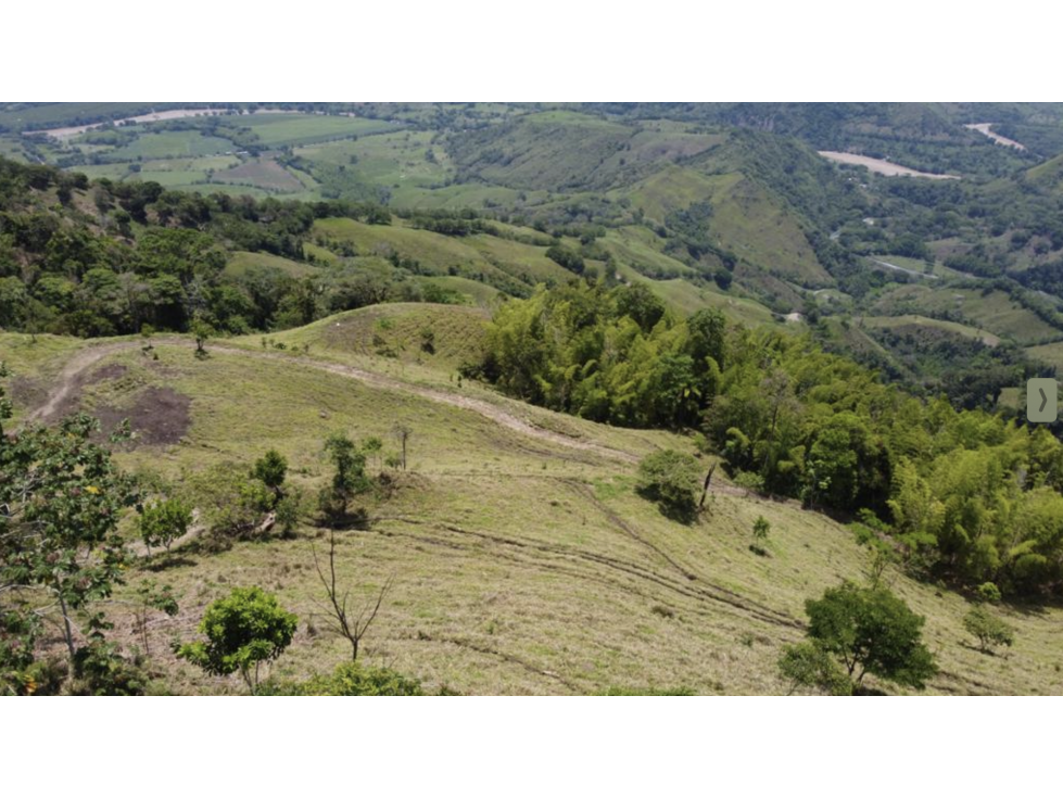 Magnificent 428 hectare Cattle Farm for Sale near Manizales — foto 5