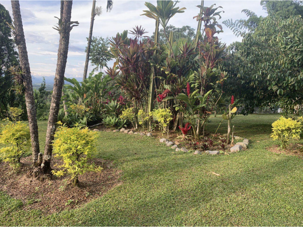 Gorgeous Finca 2.76 ha with 3 houses - 5