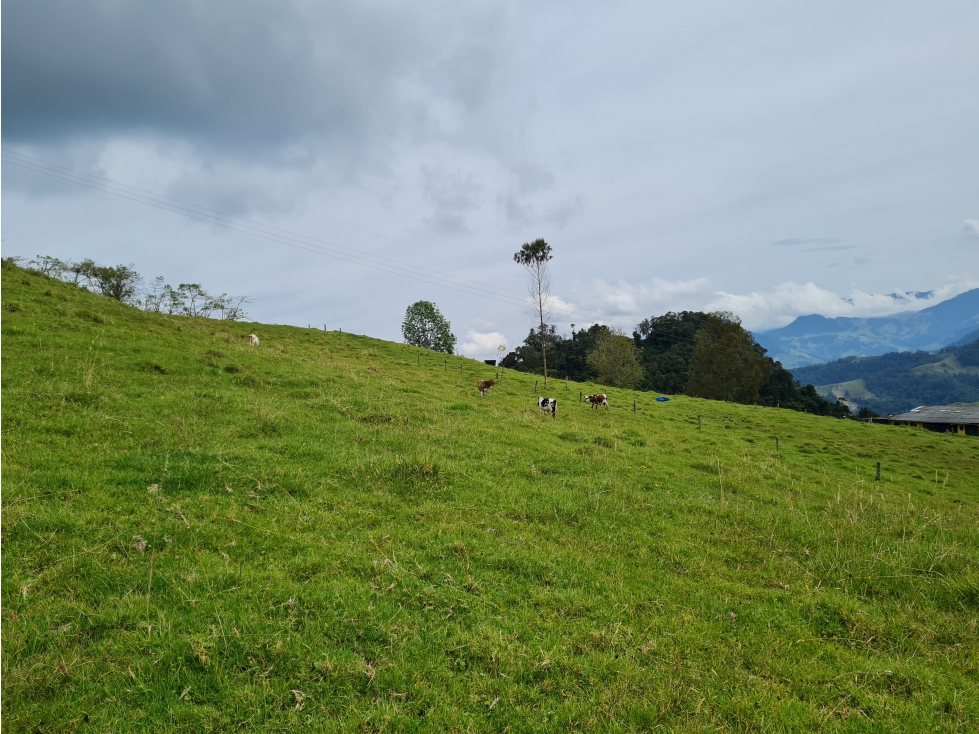 1.25 ha lote en venta Rio Blanco Reserva — foto 6