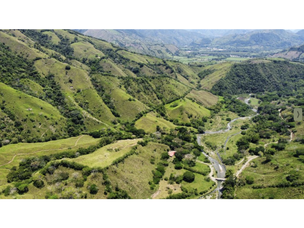 Magnificent 428 hectare Cattle Farm for Sale near Manizales — foto 6