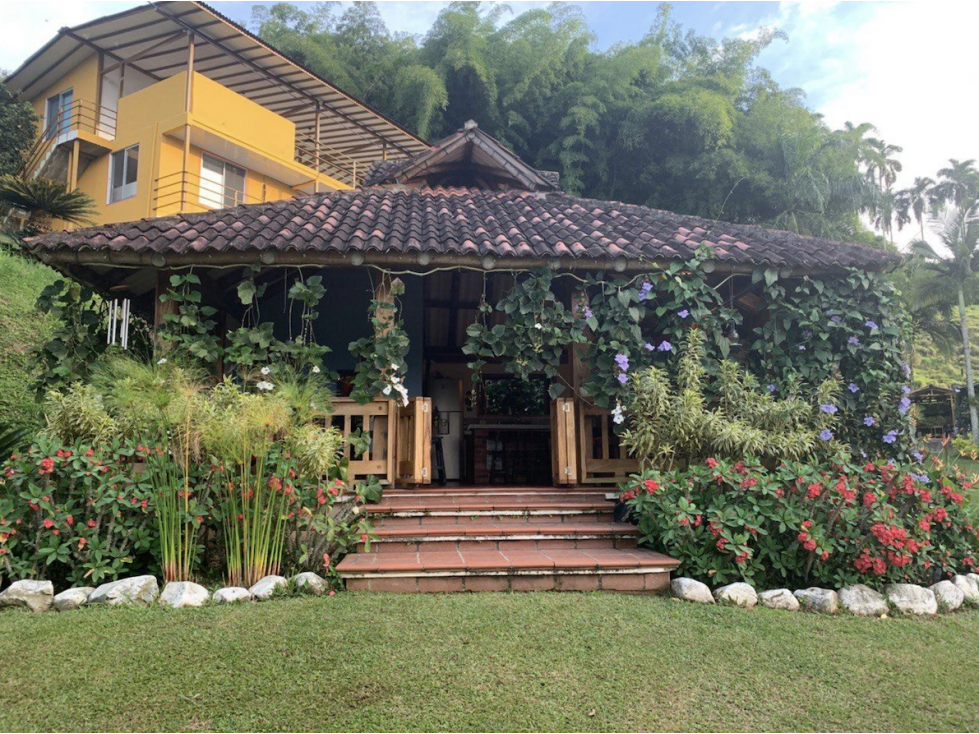 Gorgeous Finca 2.76 ha with 3 houses - 6