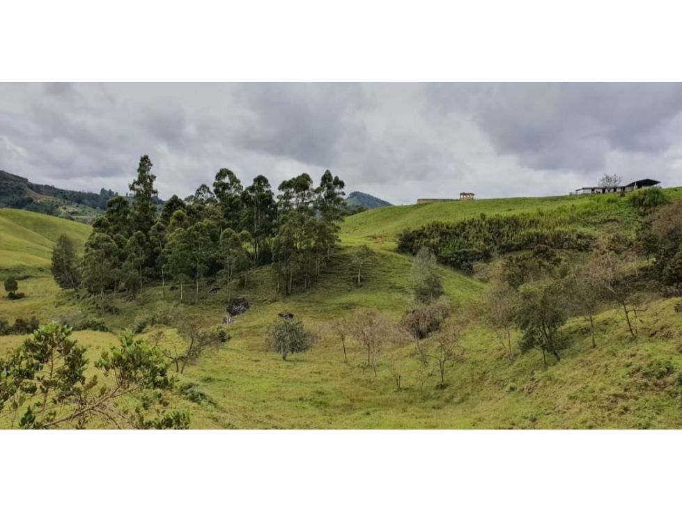 Invierte en San Vicente | Lote en Parcelación Campestre — foto 5