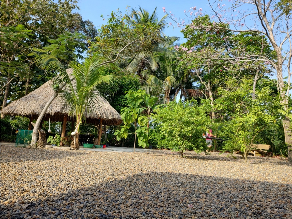 Casa Campestre en Venta Necoclí, Antioquia - 6