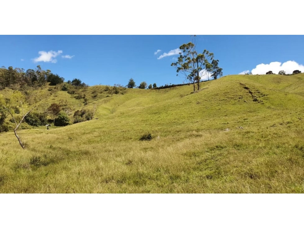 Invierte en San Vicente | Lote en Parcelación Campestre — foto 3