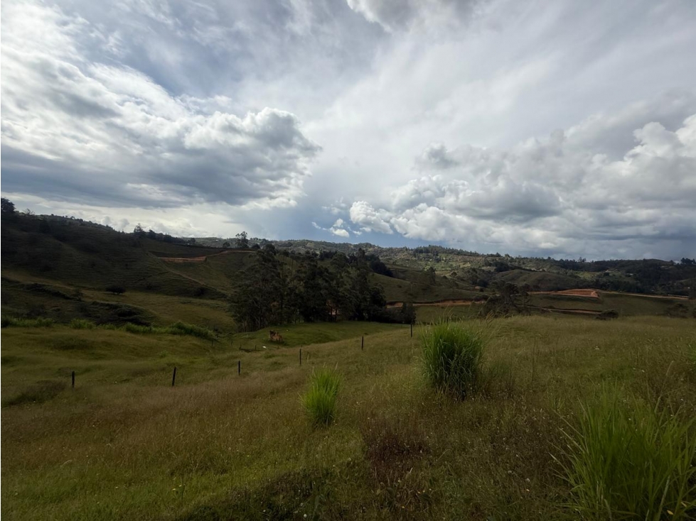 Lote en Venta en San Vicente de Ferrer | Naturaleza y Tranquilidad — foto 4