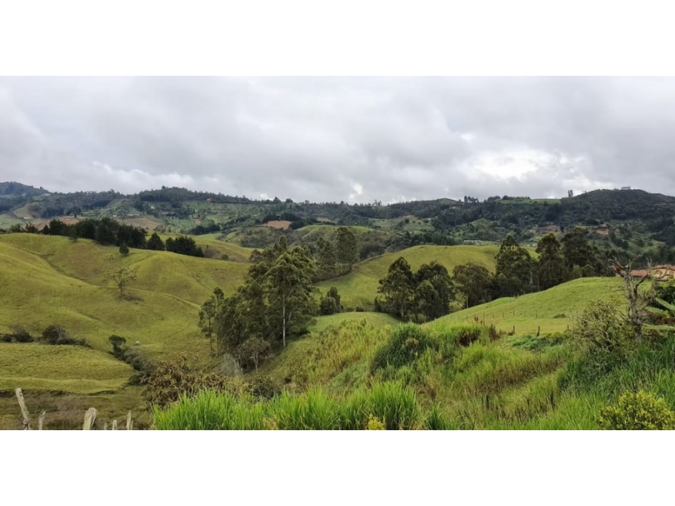Invierte en San Vicente | Lote en Parcelación Campestre — foto 5