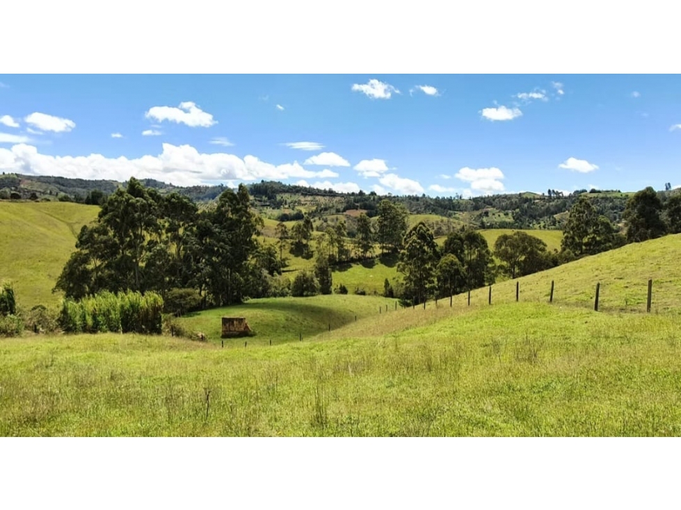 Invierte en San Vicente | Lote en Parcelación Campestre — foto 6