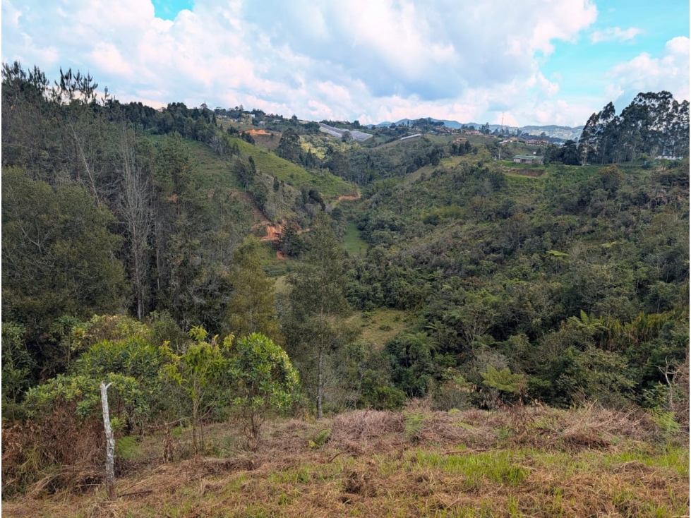 Lote en Marinilla con Explanación, Vía de Acceso y Alta Valorización — foto 6