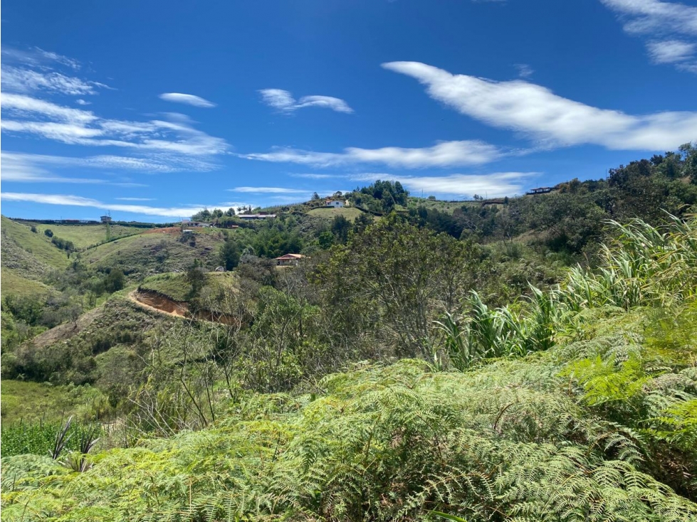 Lote Ideal para Casa Campestre | San Vicente de Ferrer