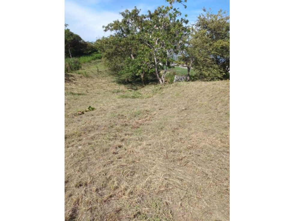 SE VENDE TERRENO EN SAN CARLOS - 2