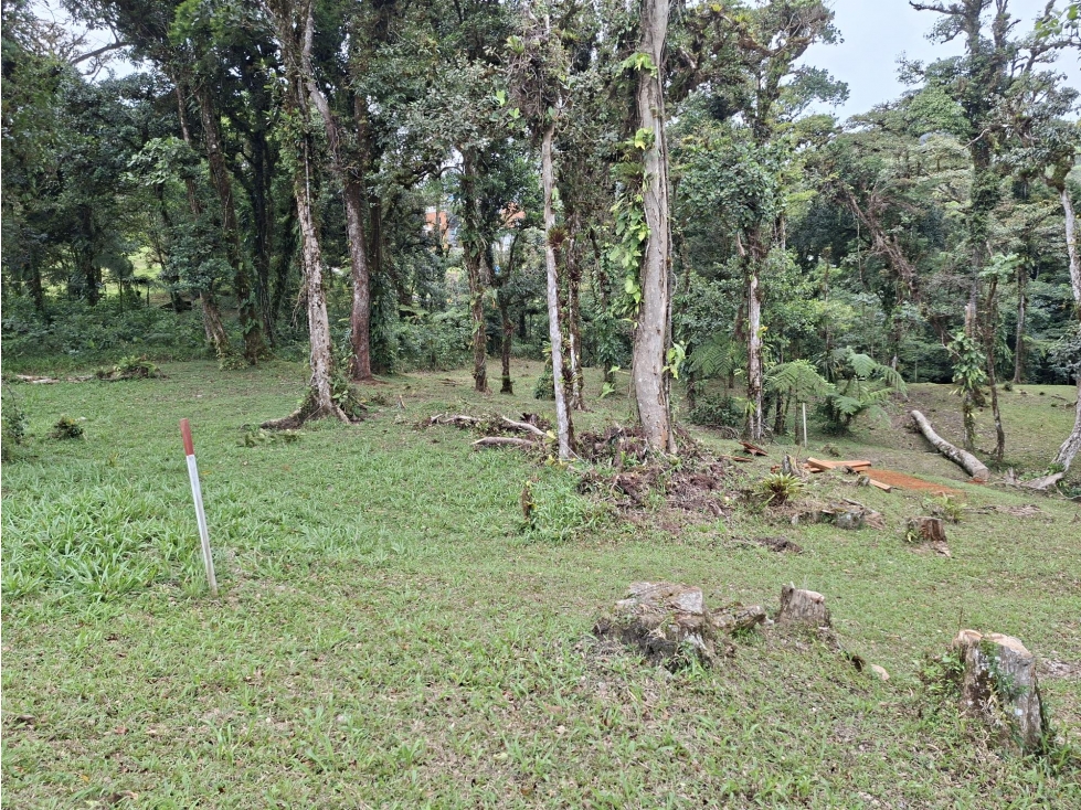 SE VENDE TERRENO DE MONTAÑA EN ALTOS DEL MARIA — foto 2