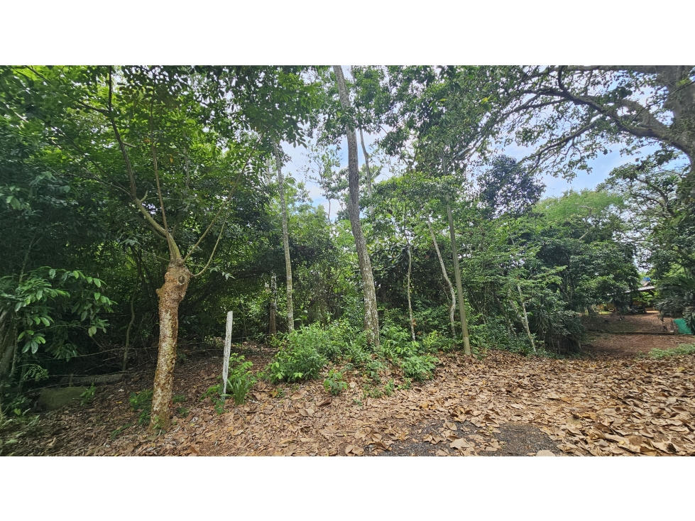 Venta de 2.4 Hectáreas en Las Mendozas, La Chorrera
