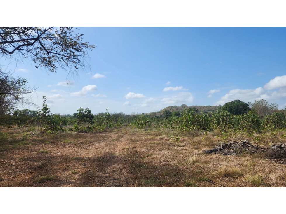 Venta de Terreno en Las Tablas Pocrí/Parritilla 15.5 Hectáreas - 2