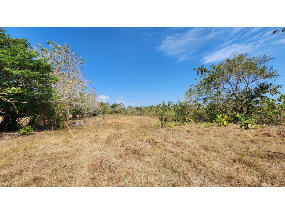 Venta de Terreno en Las Tablas Pocrí/Parritilla 15.5 Hectáreas - 3