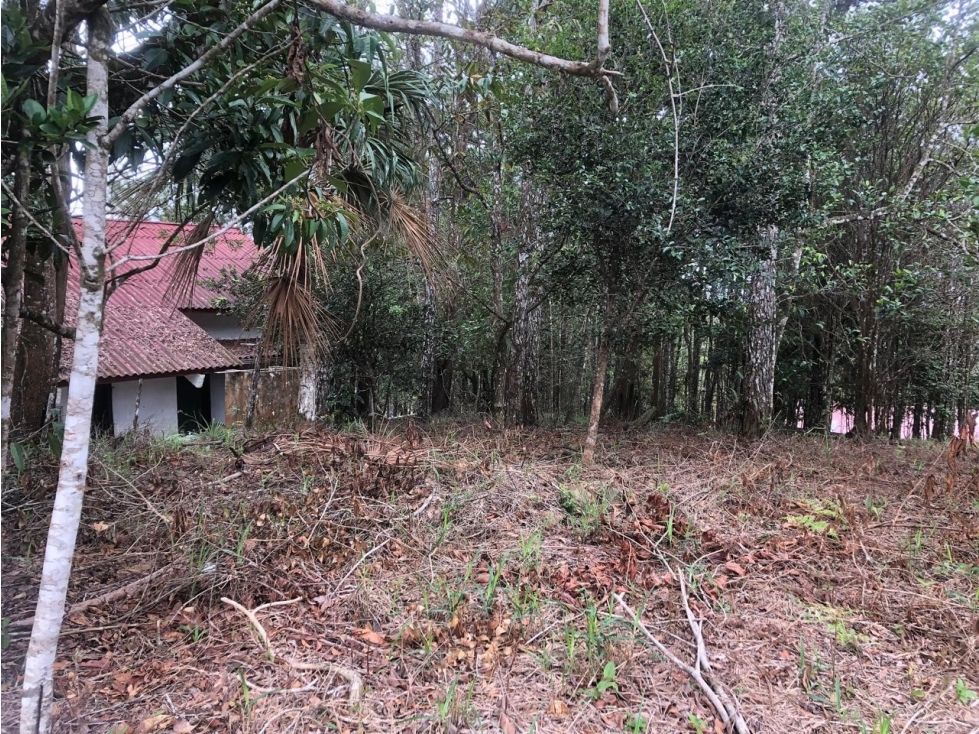 VENTA DE LOTE - TERRENO CERRO AZUL — foto 2