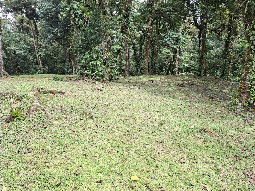 SE VENDE TERRENO DE MONTAÑA EN ALTOS DEL MARIA