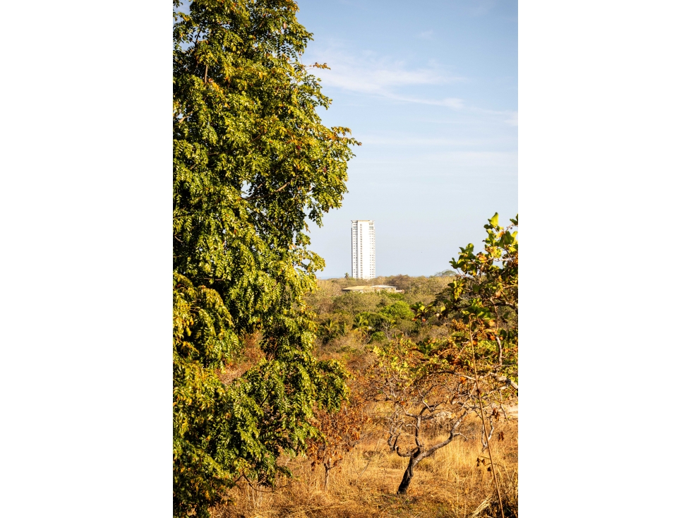 Venta de Finca de 8 Hectáreas en San Carlos con Frente de Río — foto 3