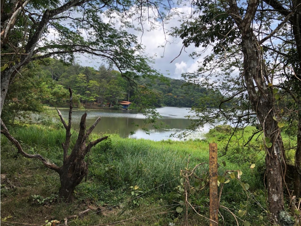 Venta de 23 Hectáreas Paraíso Privado en Cerro Azul