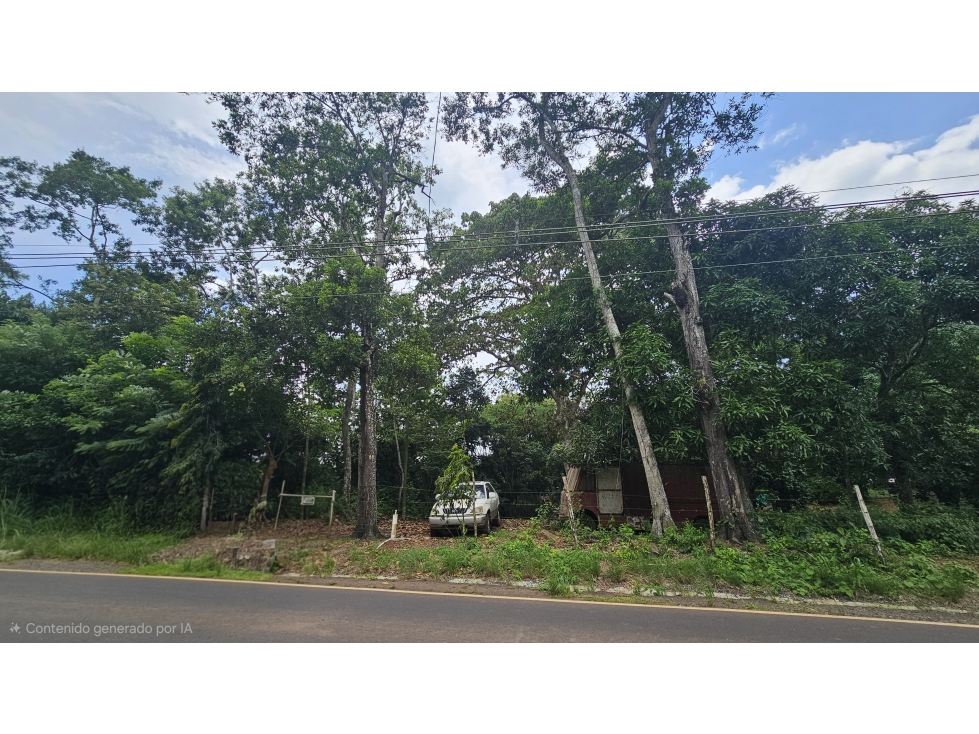 Venta de 2.4 Hectáreas en Las Mendozas, La Chorrera - 2