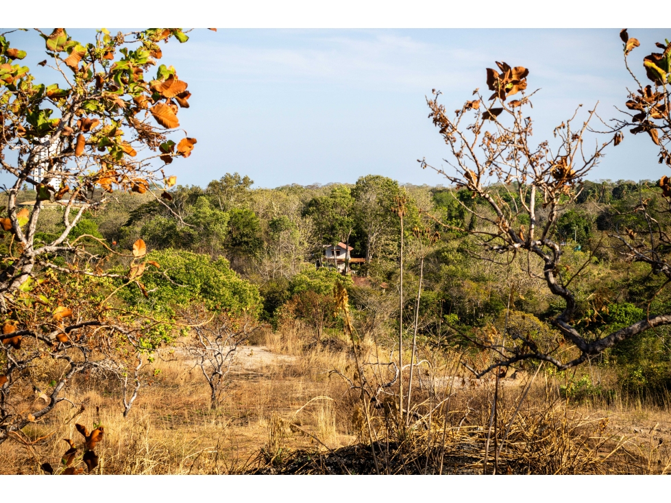 Venta de Finca de 8 Hectáreas en San Carlos con Frente de Río — foto 4