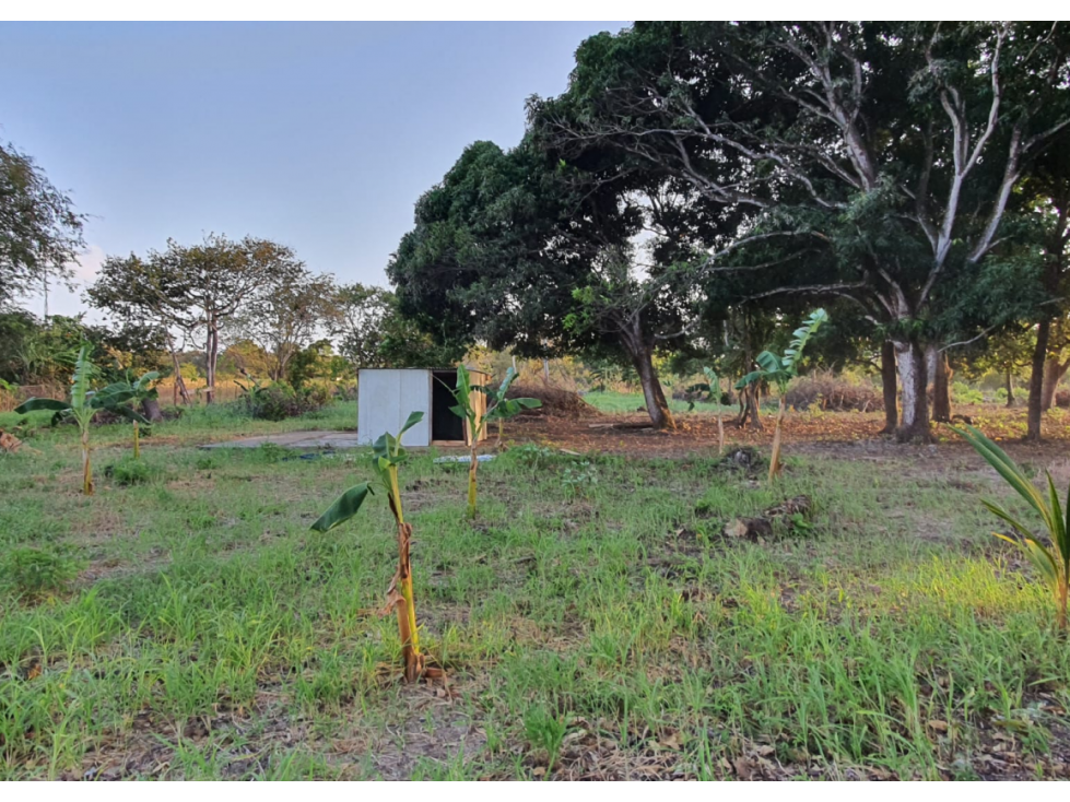 Terreno de 2.66 hectáreas en venta en Bejuco, Chame Panama Oeste - 3