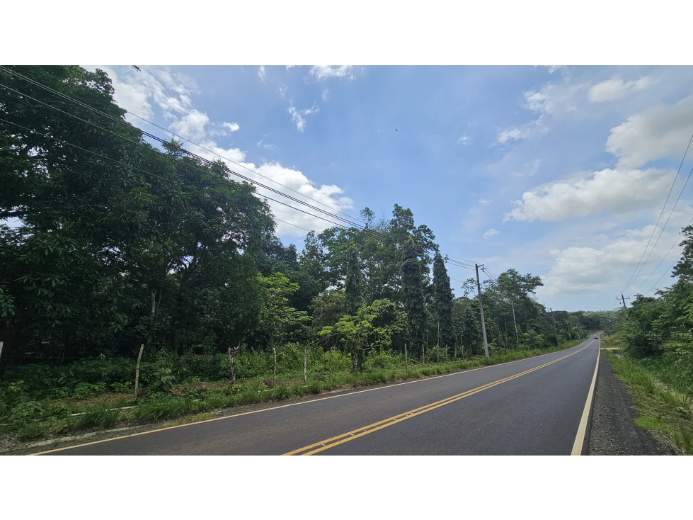 Venta de 2.4 Hectáreas en Las Mendozas, La Chorrera - 3