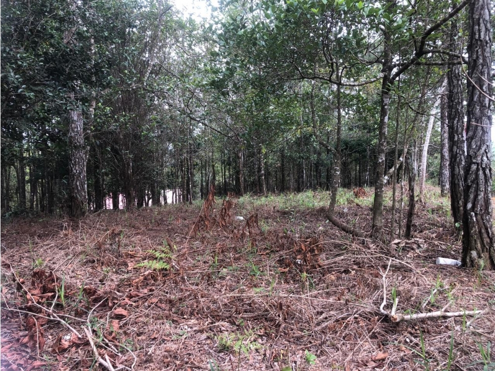 VENTA DE LOTE - TERRENO CERRO AZUL