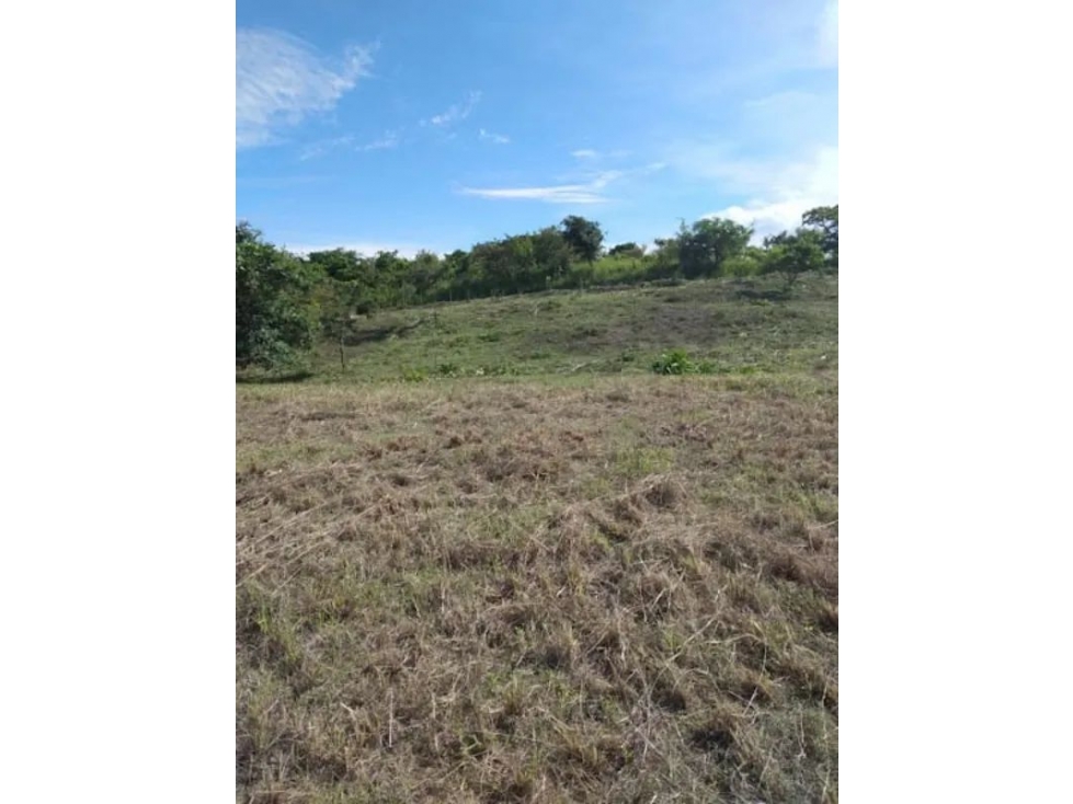 SE VENDE TERRENO EN SAN CARLOS - 4