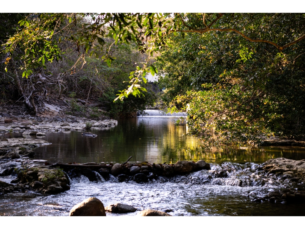Venta de Finca de 8 Hectáreas en San Carlos con Frente de Río — foto 5