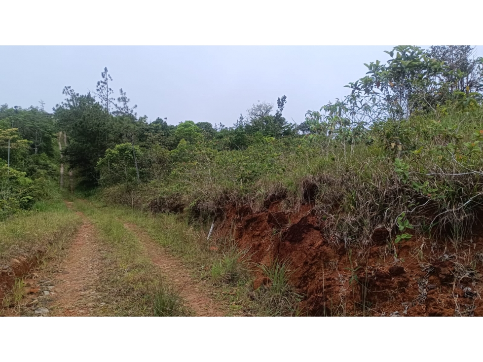 Terreno en venta en Alto Utivé Cerro Azul con vista a la ciudad — foto 2