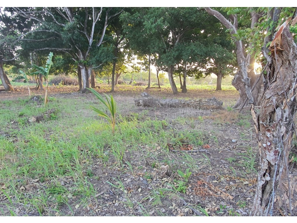 Terreno de 2.66 hectáreas en venta en Bejuco, Chame Panama Oeste - 4
