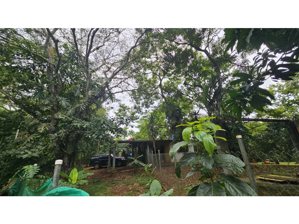Venta de 2.4 Hectáreas en Las Mendozas, La Chorrera - 4
