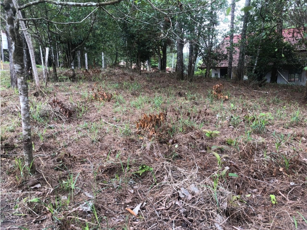 VENTA DE LOTE - TERRENO CERRO AZUL — foto 4