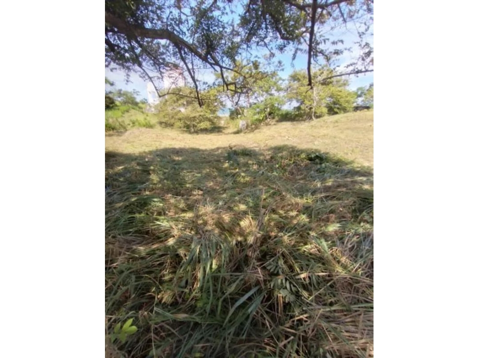 SE VENDE TERRENO EN SAN CARLOS - 5