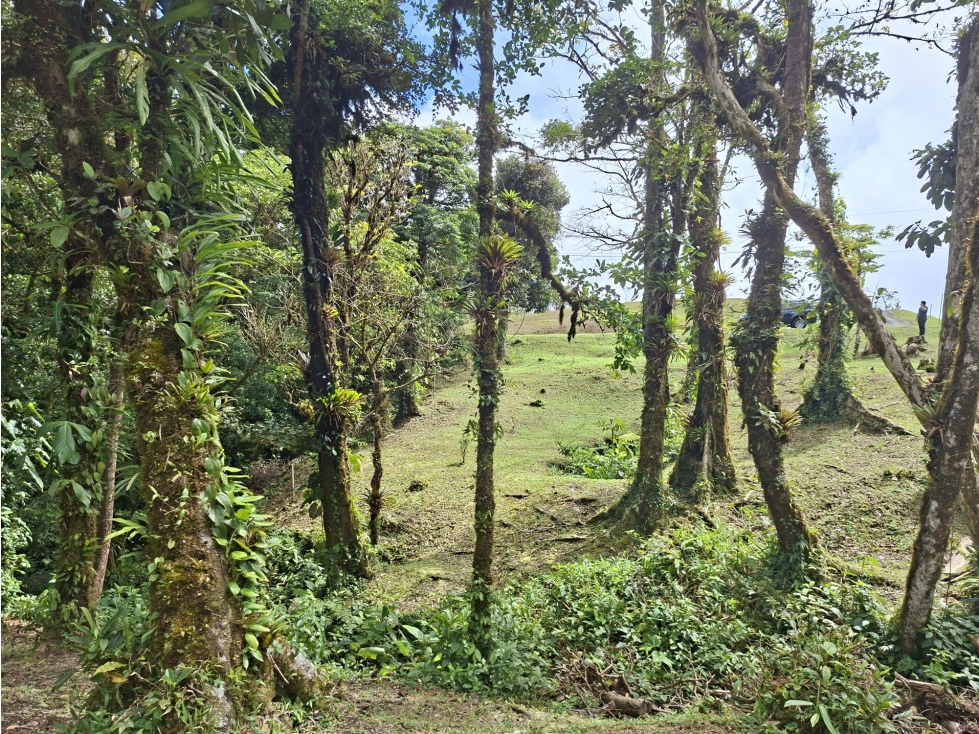 SE VENDE TERRENO DE MONTAÑA EN ALTOS DEL MARIA — foto 5