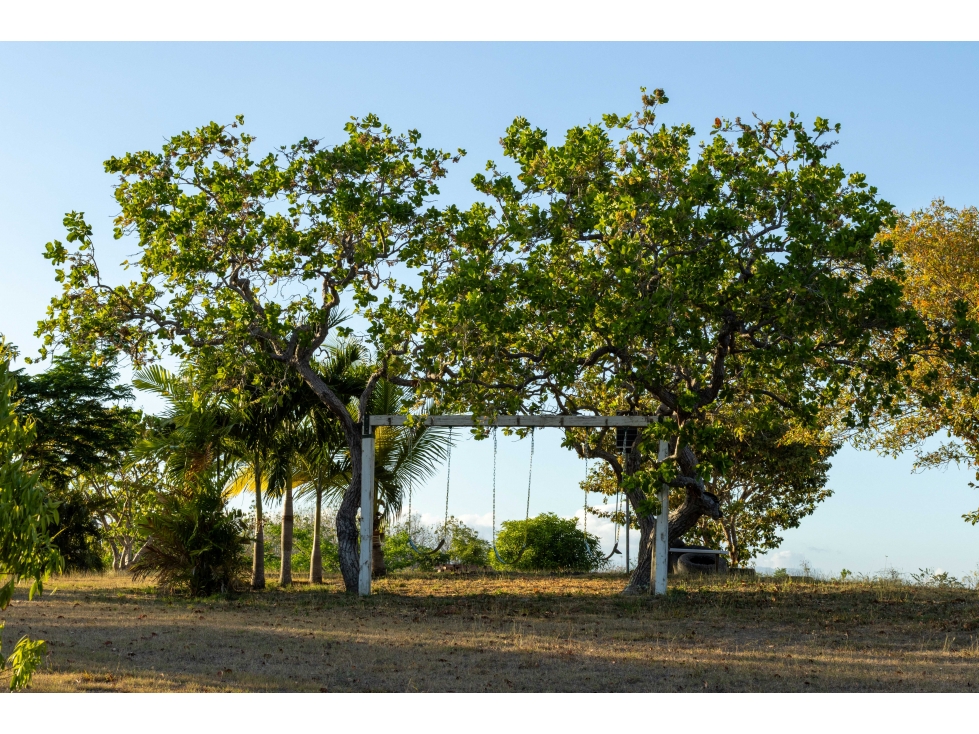 Venta de Finca de 8 Hectáreas en San Carlos con Frente de Río — foto 6